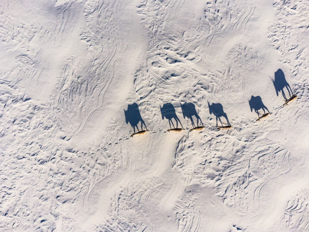 2026 WPC Team Canada, NatureWildlife, JÉRÉMIE LEBLOND-FONTAINE, Lévis QC