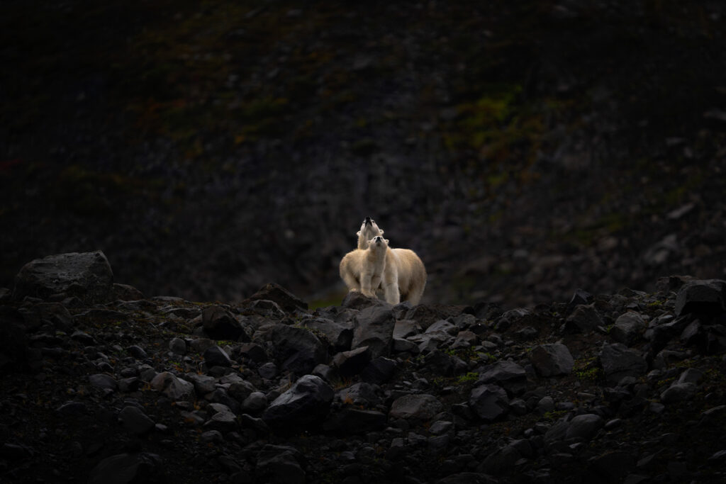 2026 WPC Team Canada, NatureWildlife, MICHELLE VALBERG, Ottawa ON