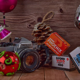 (c) Will Prentice All Rights Reserv