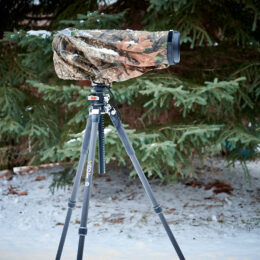 All rights reserved. Contact copyright holder for usage and rights.