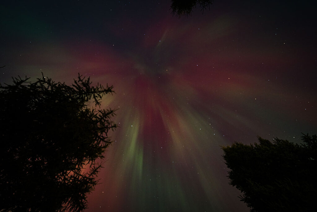 (c) Will Prentice All Rights Reserv