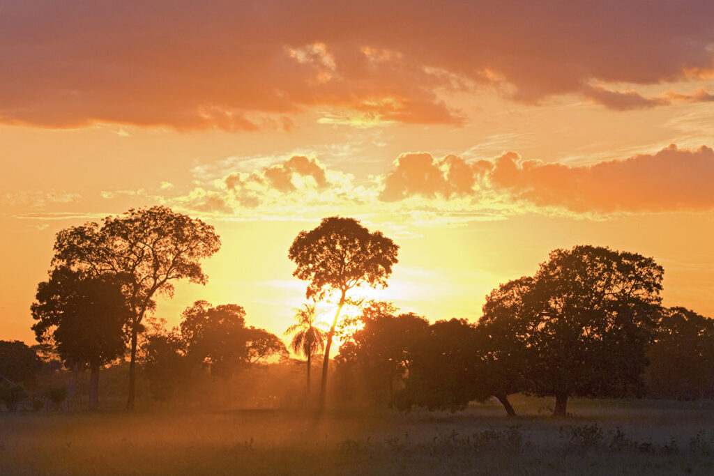 Sunset in the Pantanal wetlands of southern Brazil