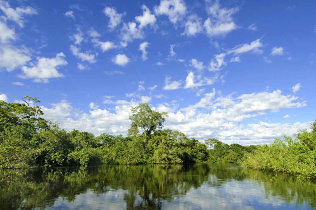 Pantanl wetlands, southwestern Brazil