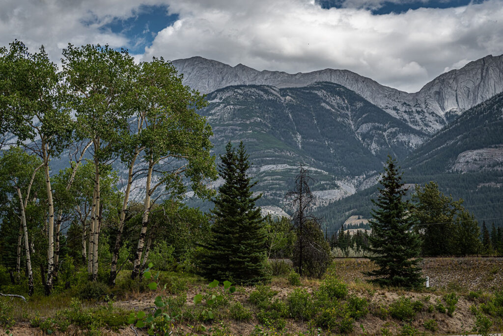 (c) Will Prentice All Rights Reserv