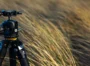 How to choose a ball head for your tripod?